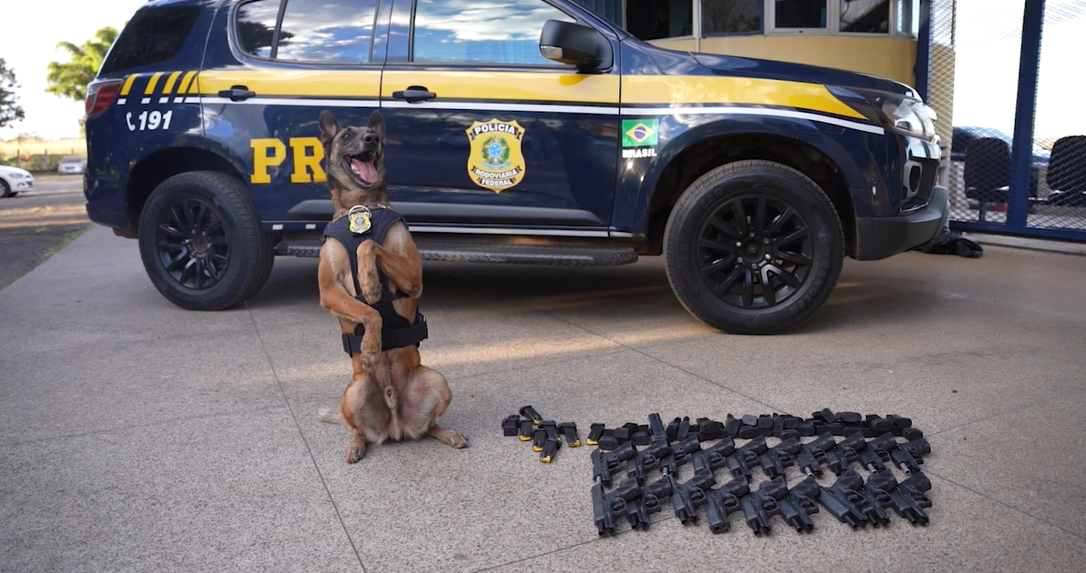 PRF apreende arsenal de armas em ônibus interestadual na BR-060