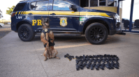 PRF apreende arsenal de armas em ônibus interestadual na BR-060