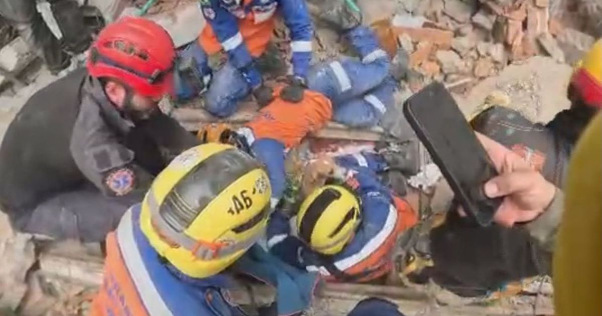 Veja: Brasileiros resgatam cachorra após 100 horas em escombros na Colômbia