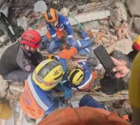 Veja: Brasileiros resgatam cachorra após 100 horas em escombros na Colômbia