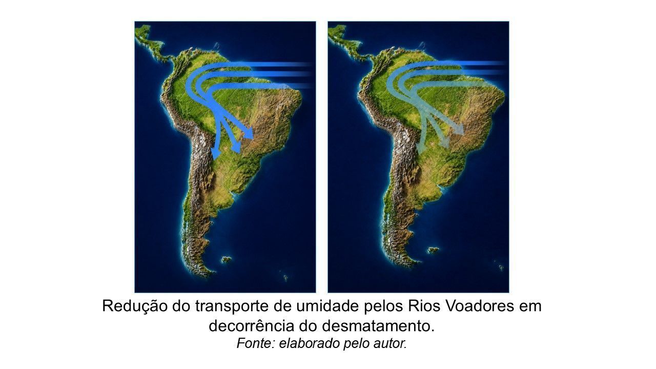 • CNN Brasil