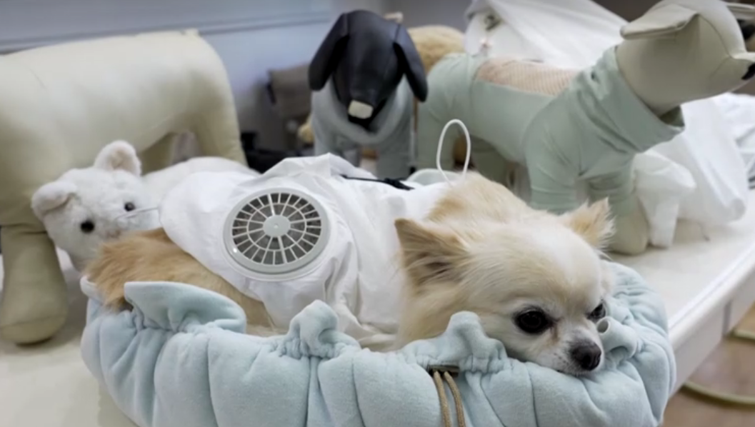 roupa-ventilador-pets-3