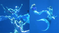 Primeira Copa do Mundo de Sereias reúne mais de 100 participantes na China
