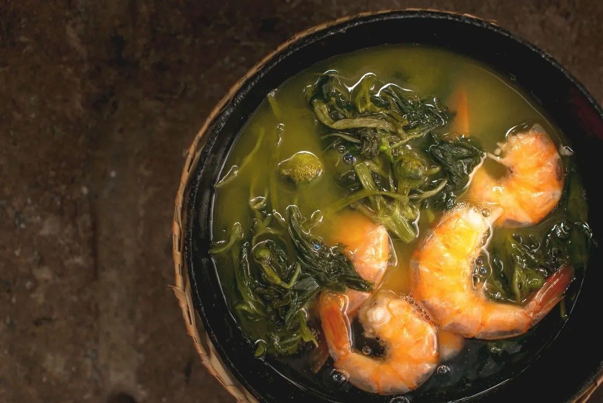 Gastronomia amazônica ganha destaque em festival gratuito em Belém
