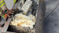 Receita Federal apreende 98,5 kg de cocaína em Paranaguá