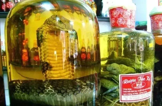 “Vinho de cobra”: bebida milenar com serpente dentro da garrafa chama atenção na Ásia