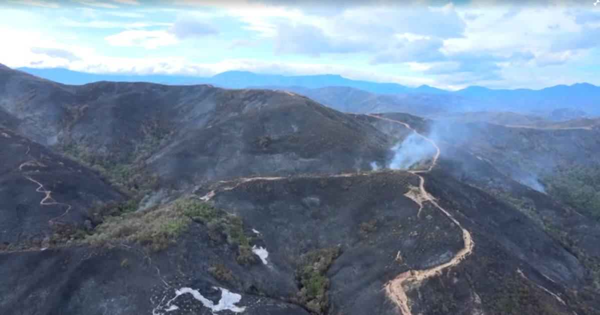 Fumaça e chamas altas em área de floresta na Colômbia após incêndio