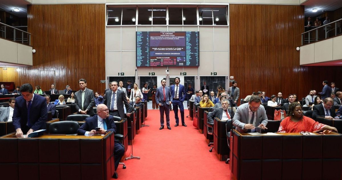 Saiba quem são os candidatos a deputado estadual pelo Rede em MG