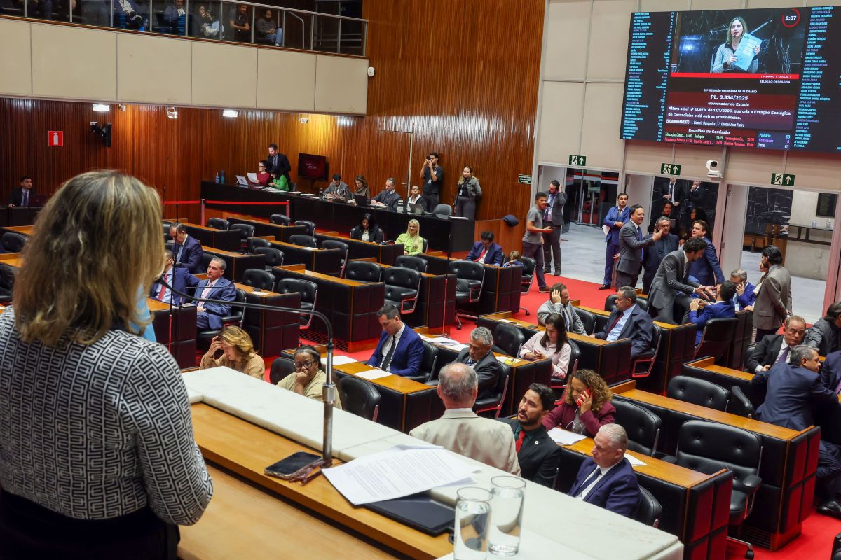 Saiba quem são os candidatos a deputado federal pelo PDT em MG