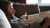 Estudo mediu cortisol em pets e seus donos e confirmou: seu cachorro também se estressa quando você está estressado