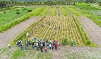 Agro da América Latina não está preparado para El Niño