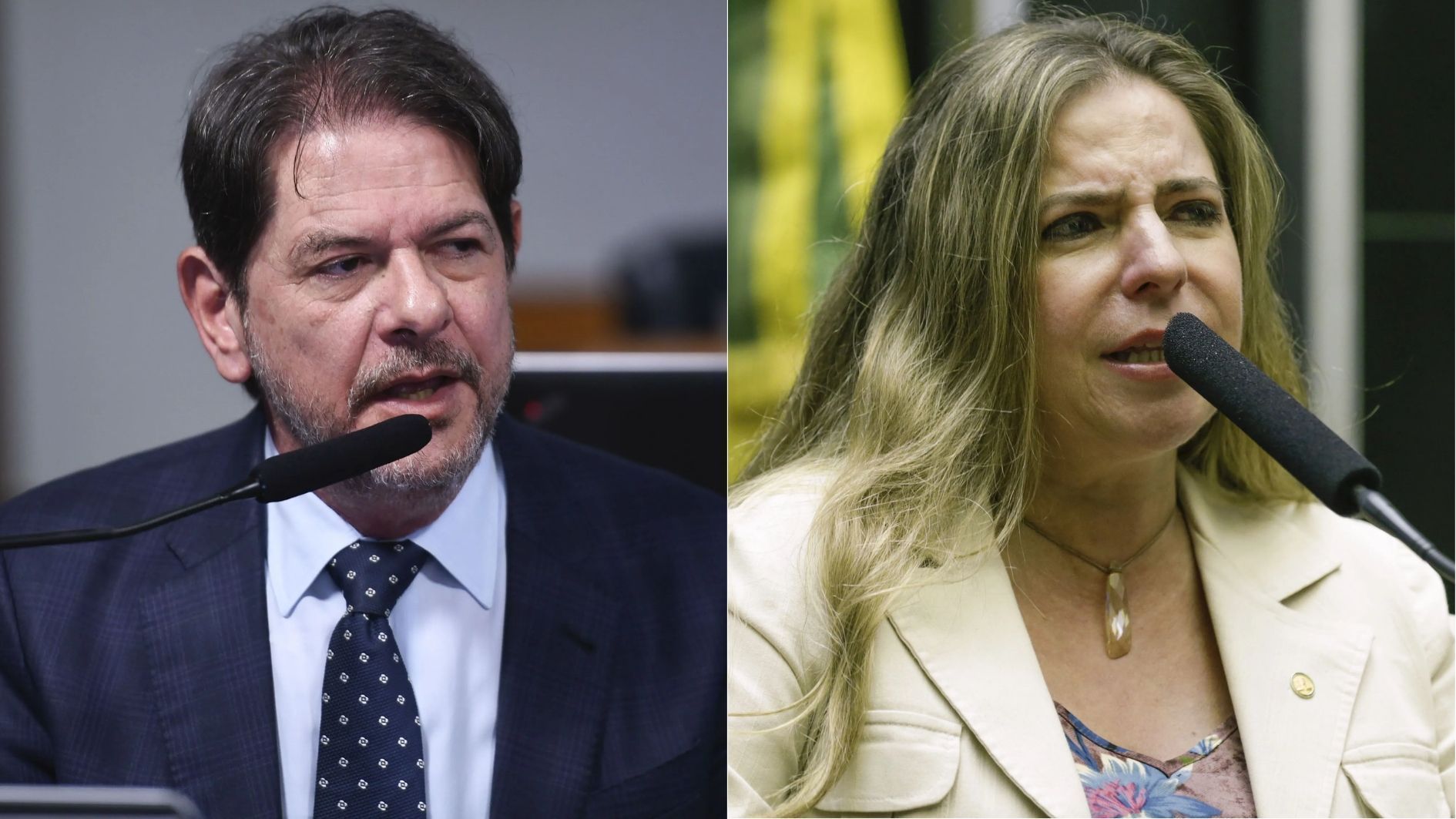 O senador Cid Gomes (PSB) e a deputada federal Luizianne Lins (Rede)