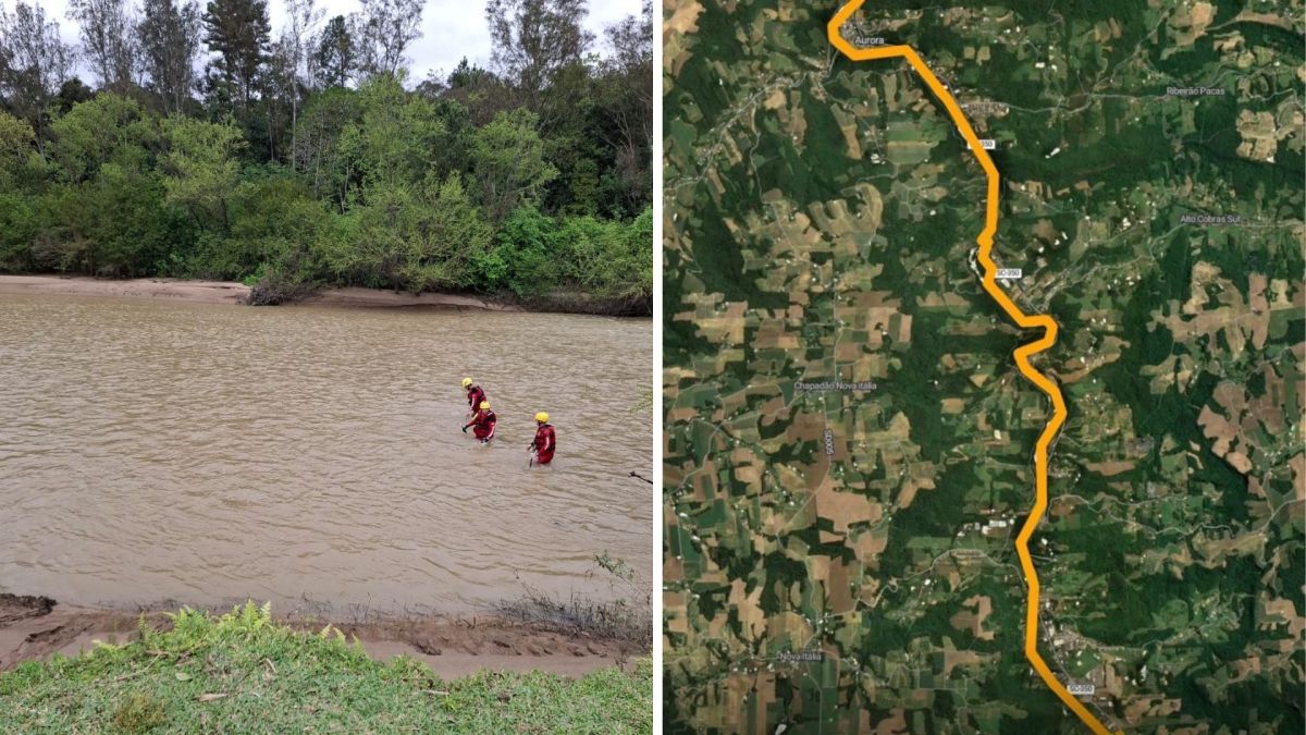 Vídeo: crianças furtam carro e se envolvem em acidente em Florianópolis