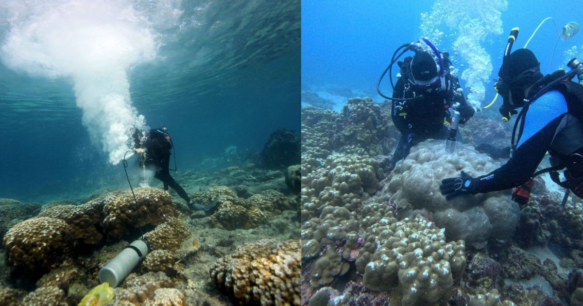 Ilhas Galápagos, local das amostras de corais usadas no estudo sobre El Niño