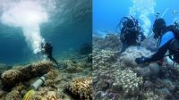Super El Niño se tornou 40% mais forte do que na era pré-industrial