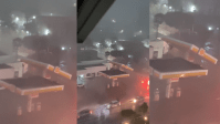 Granizo atinge Sul de Minas aumenta temor em lavouras de café e pastagens