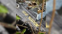 Helicóptero que caiu em SP não não tinha autorização para operar, diz Anac
