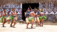 Populações indígenas da Amazônia têm poucos casos de demência, mas estudo revela que mortalidade deste público influenciou nos dados