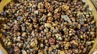 Café extraído de fezes de animal foi criado por escravos e hoje em dia o quilo importado pode custar mais de R$ 14 mil