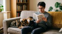 A pessoa favorita de um gato é aquela que sempre aparenta estar um pouco mais distante? Entenda