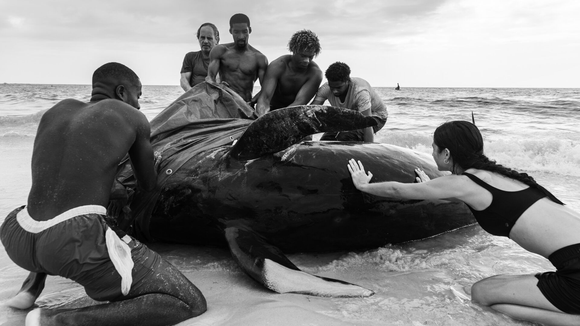 Prêmio Conexão Humana Pessoas e Planeta Oceano • Rui Duarte