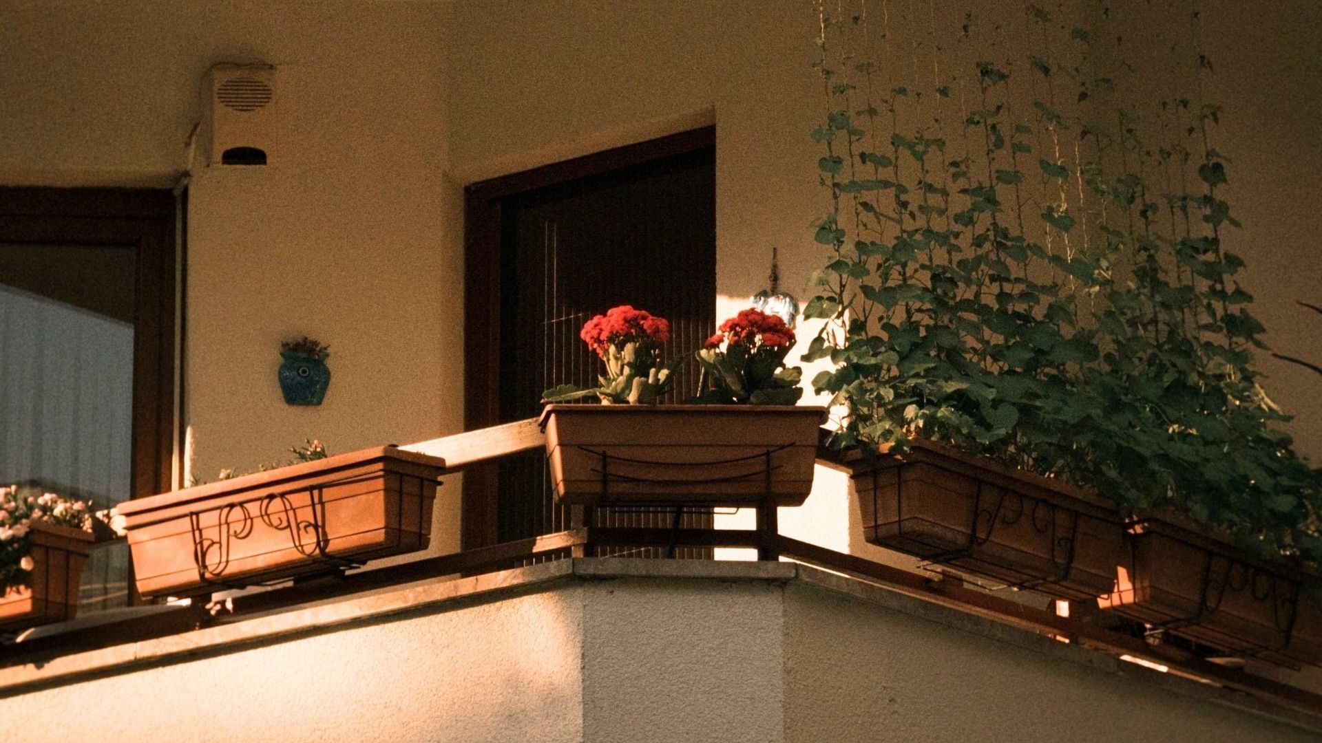 Vasos de plantas apoiados na área externa do parapeito de uma sacada de prédio