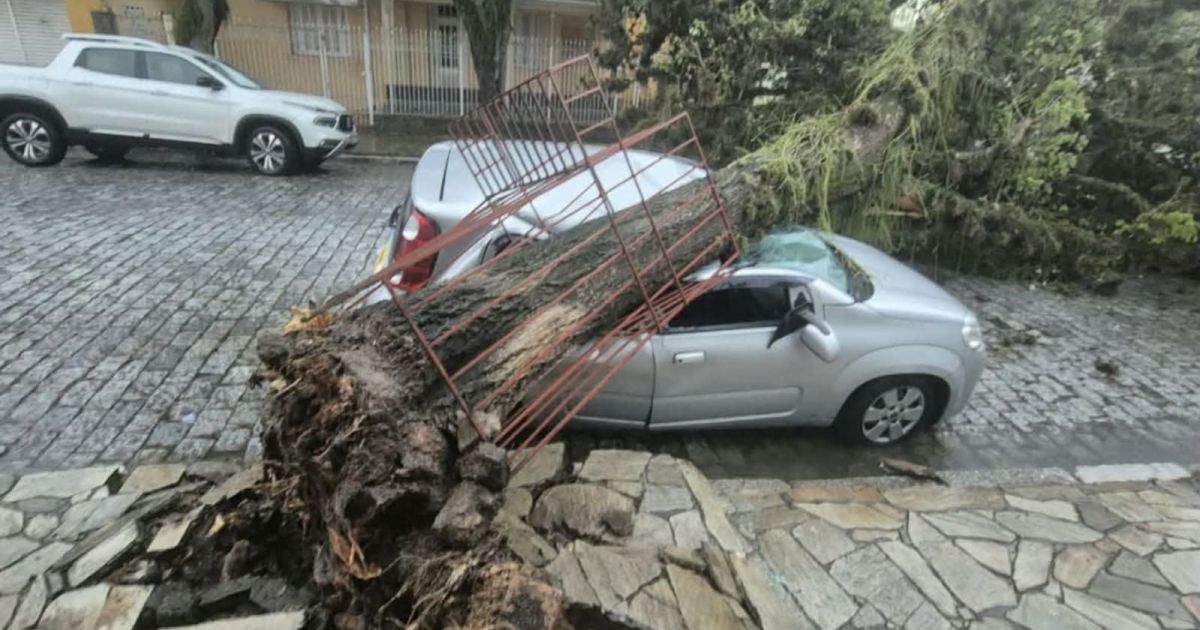 imagem