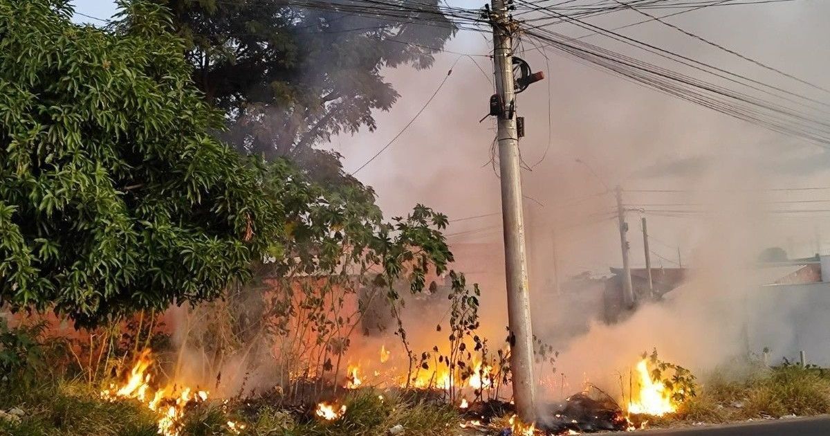 Queimadas ameaçam fornecimento de energia na região Norte, aponta Aneel