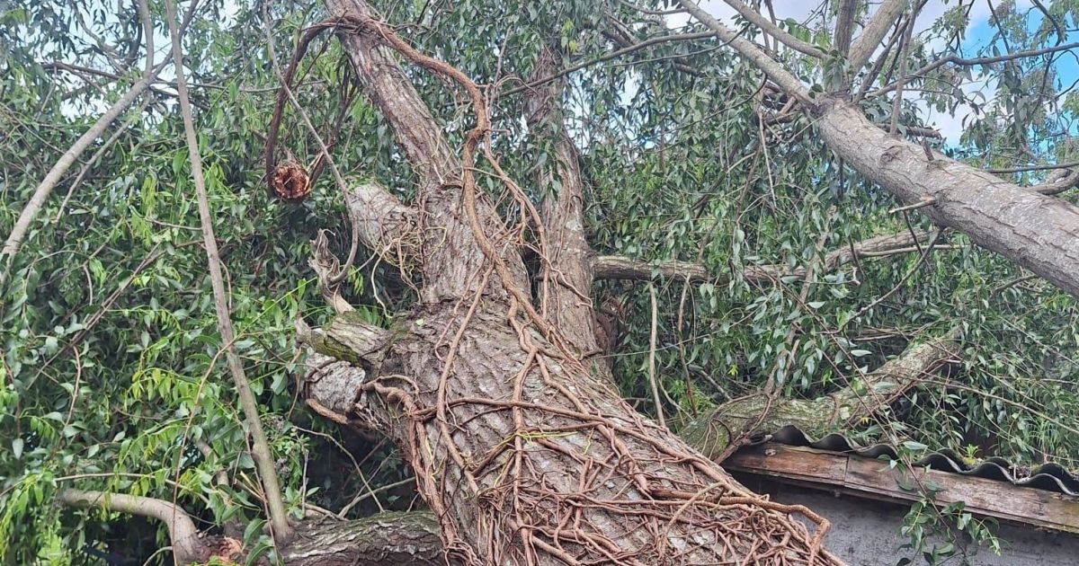 Rio Grande do Sul registra 122 municípios afetados pelas chuvas