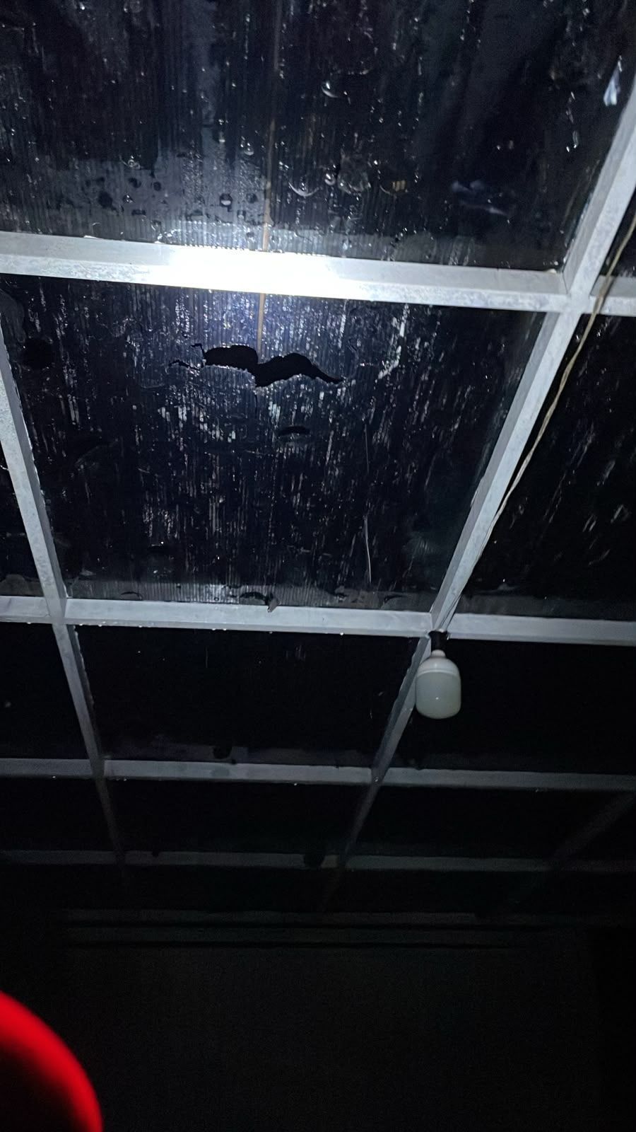 Moradores da cidade de Santiago, no Rio Grande do Sul, registraram os estragos provocados por temporais com granizo neste sábado (26) • Arquivo pessoal