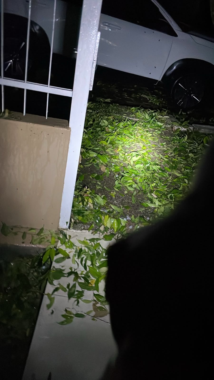 Moradores da cidade de Santiago, no Rio Grande do Sul, registraram os estragos provocados por temporais com granizo neste sábado (26) • Arquivo pessoal