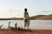 "Feito Pipa" no Oscar? Veja apostas para Melhor Filme Internacional