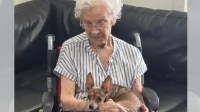 Idosa de 90 anos pede um cachorro como companhia em sua cadeira de rodas, recebe uma chihuahua cega e vínculo imediato emociona a família