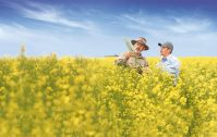 Bayer e Neste fecham acordo para ampliar canola para biocombustíveis