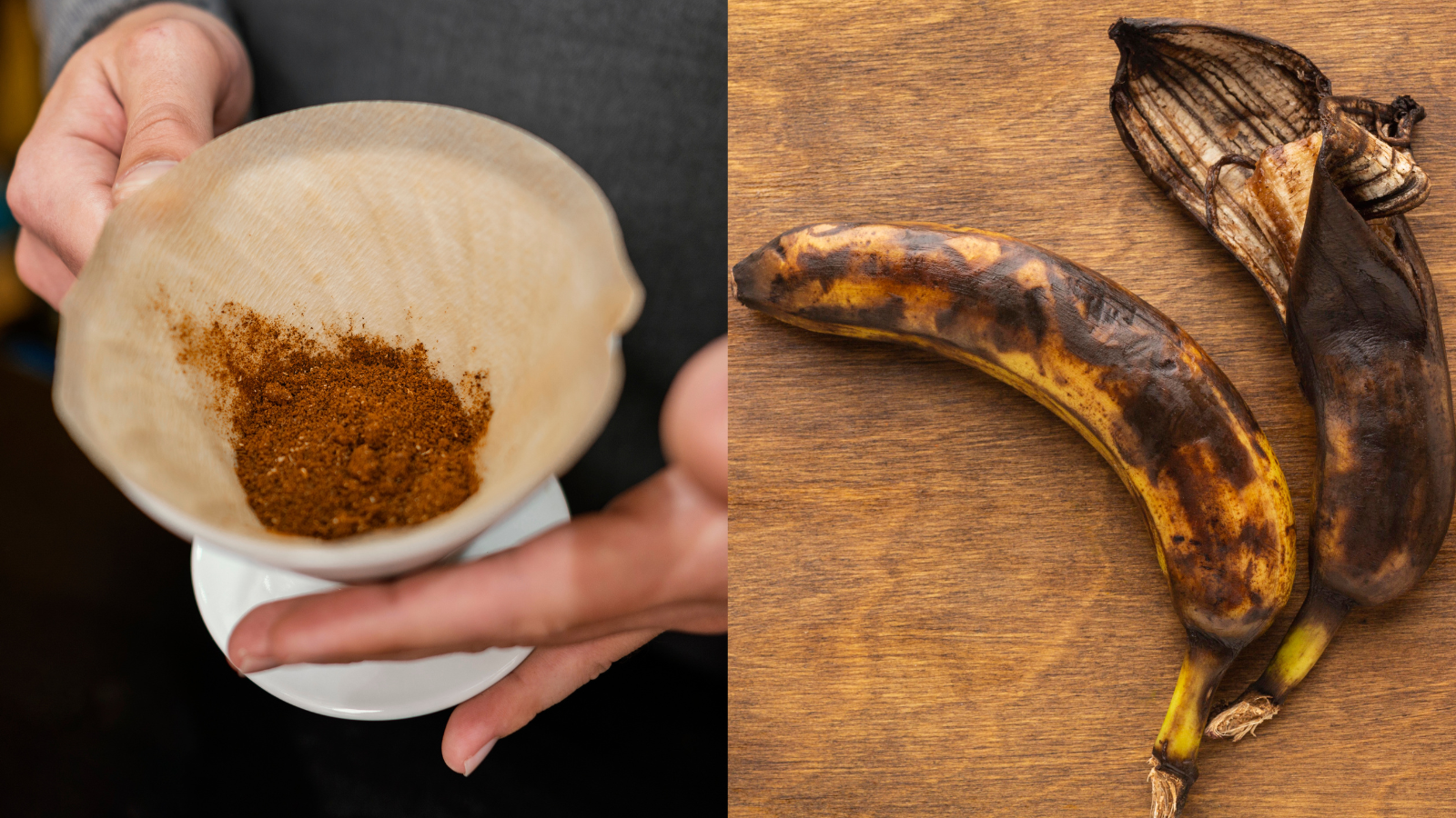 Conheça truque com borra de café, banana e água