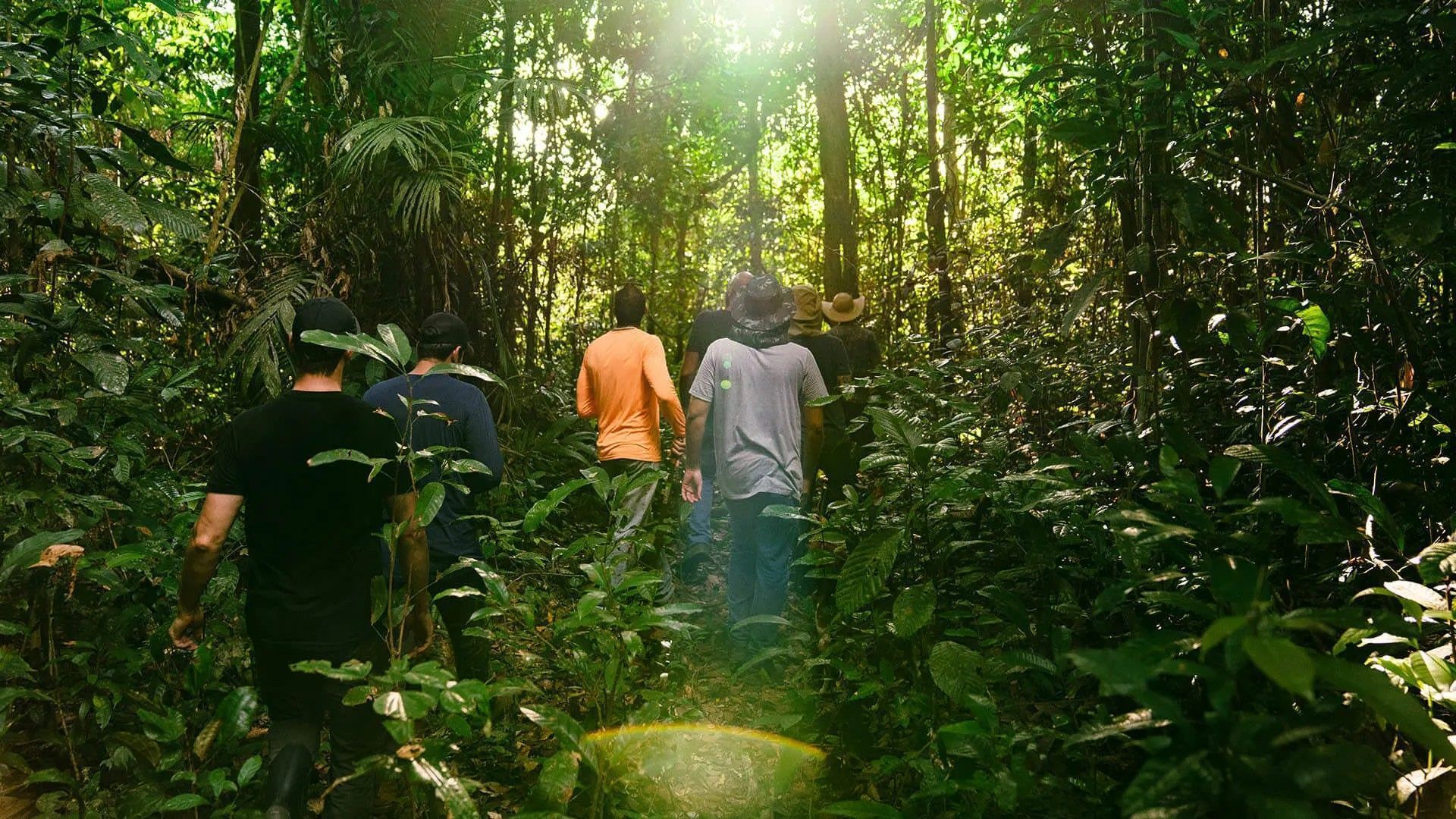 A Courageous Land desenvolve e opera projetos de soluções baseadas na natureza.