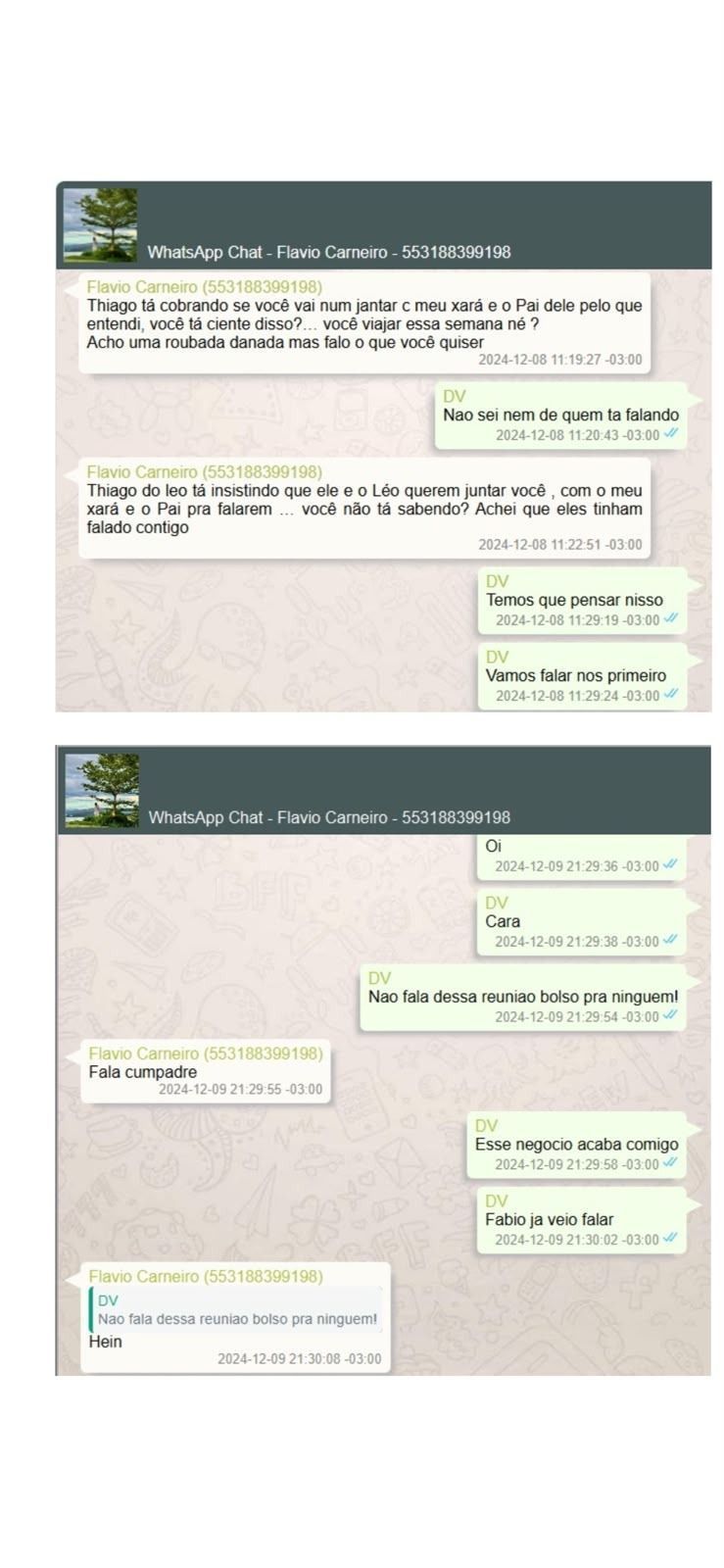 Mensagens entre Vorcaro e o empresário Flávio Carneiro citam suposto jantar com Jair e Flávio Bolsonaro • Reprodução/PF
