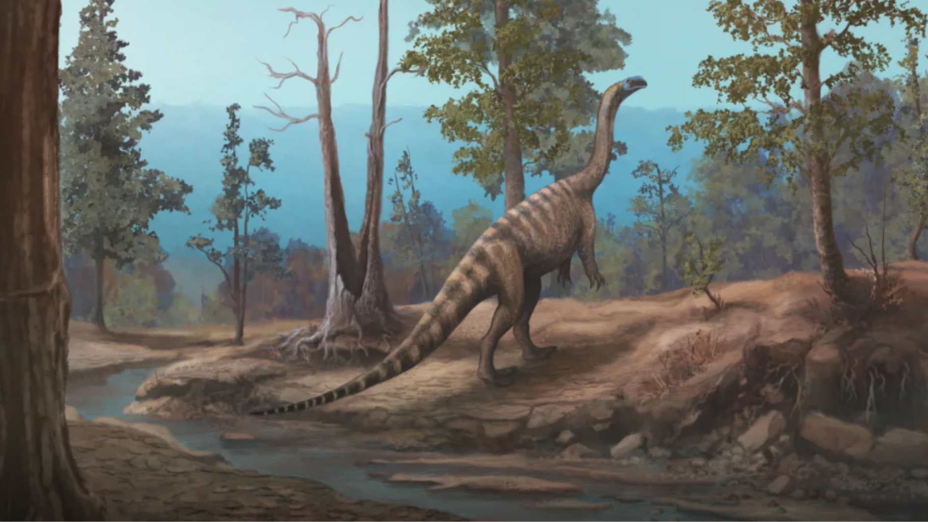 dinossauros