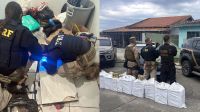 Polícia encontra esconderijo com 231 kg de cocaína sob piso de casa em SC
