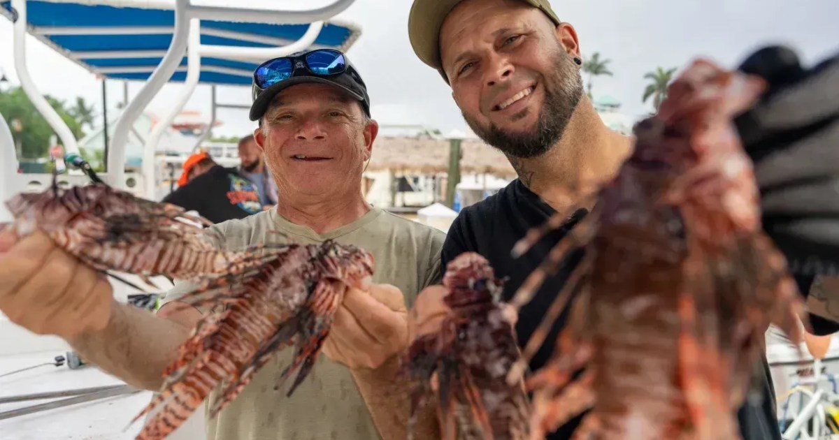 Tatuador vegano vira caçador de peixe-leão para salvar recifes da Flórida