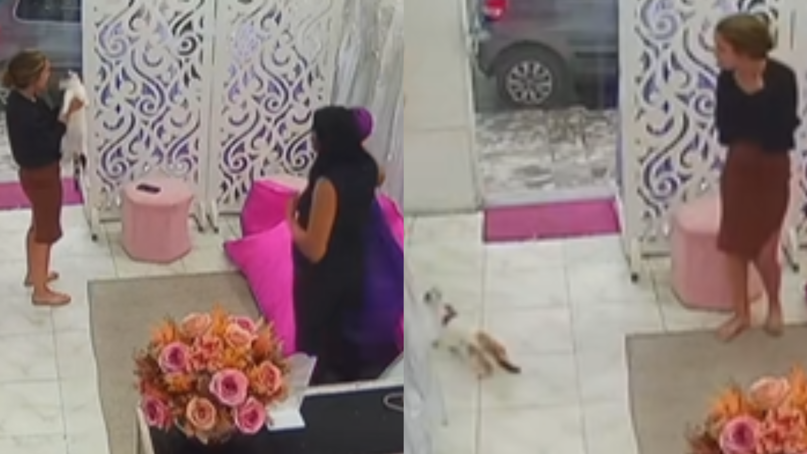 Gato sai de casa enrolado em roupa alugada e surpreende dona
