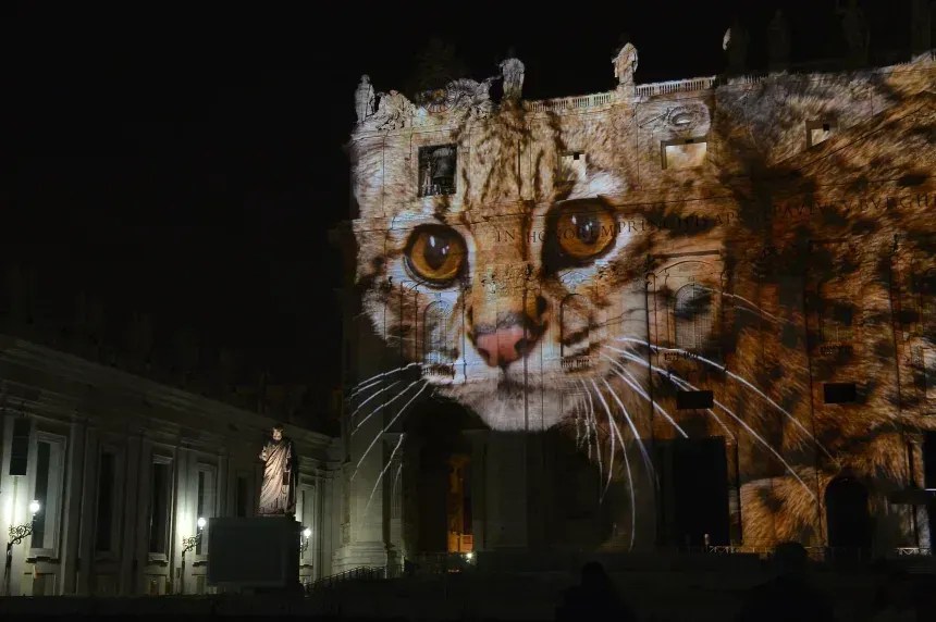 As fotografias de Sartore foram publicadas online, em livros, transmitidas e até projetadas em pontos turísticos, incluindo o Vaticano em 2015 • Tiziana Fabi/AFP via Getty Images