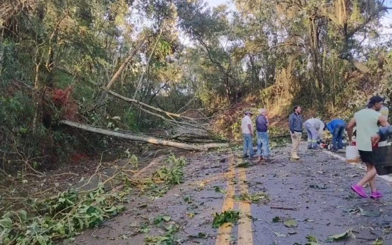Imagem de granizo caindo sobre lavouras na região Sul de Minas