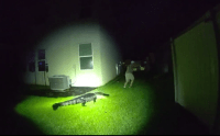 Vídeo: Jacaré de mais de 2 metros invade casa na Flórida e ataca policiais