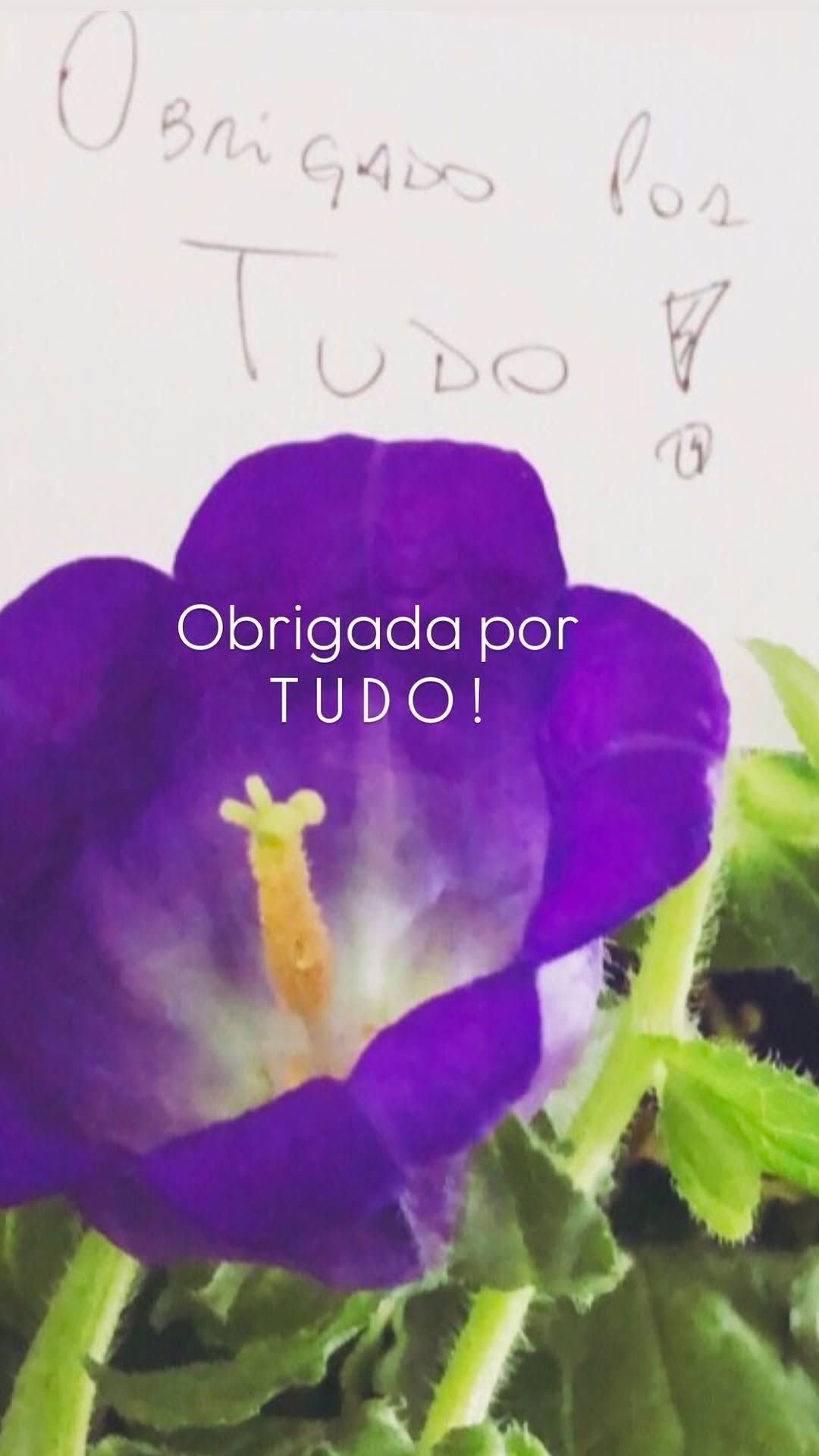 • Instagram/Lissa Martins