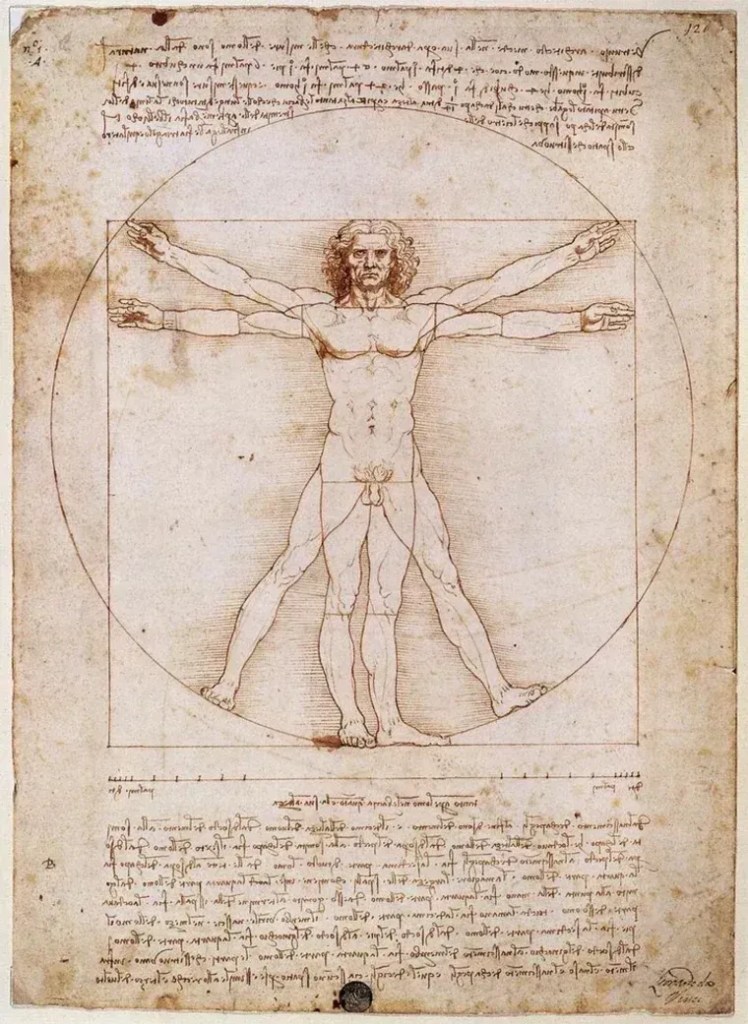 O Homem Vitruviano, de Leonardo da Vinci • Reprodução/Leonardo da Vinci