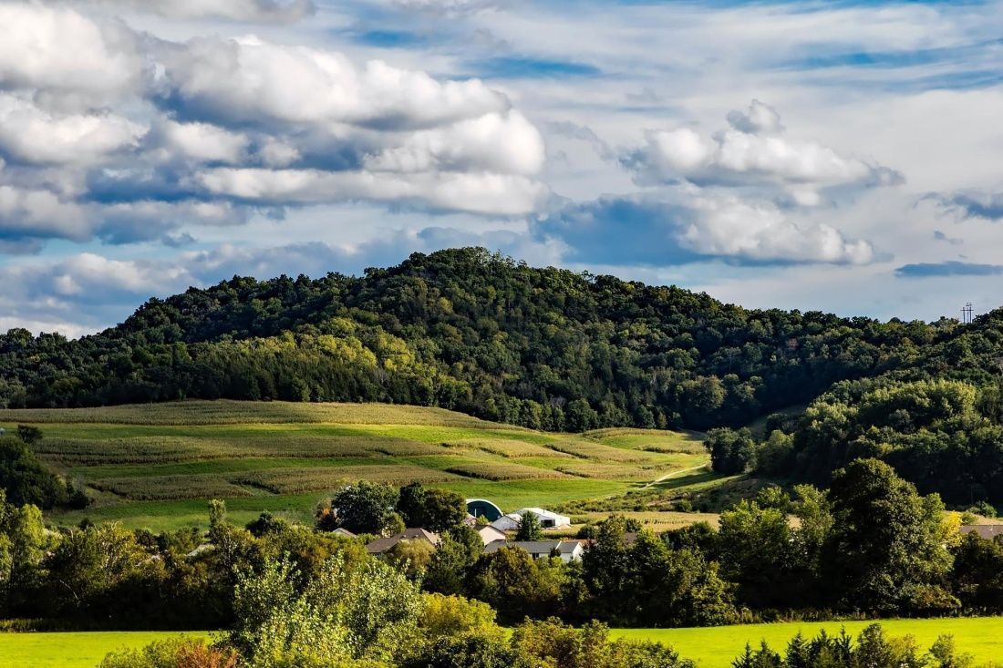 No horizonte, plantio integrado com vegetação nativa