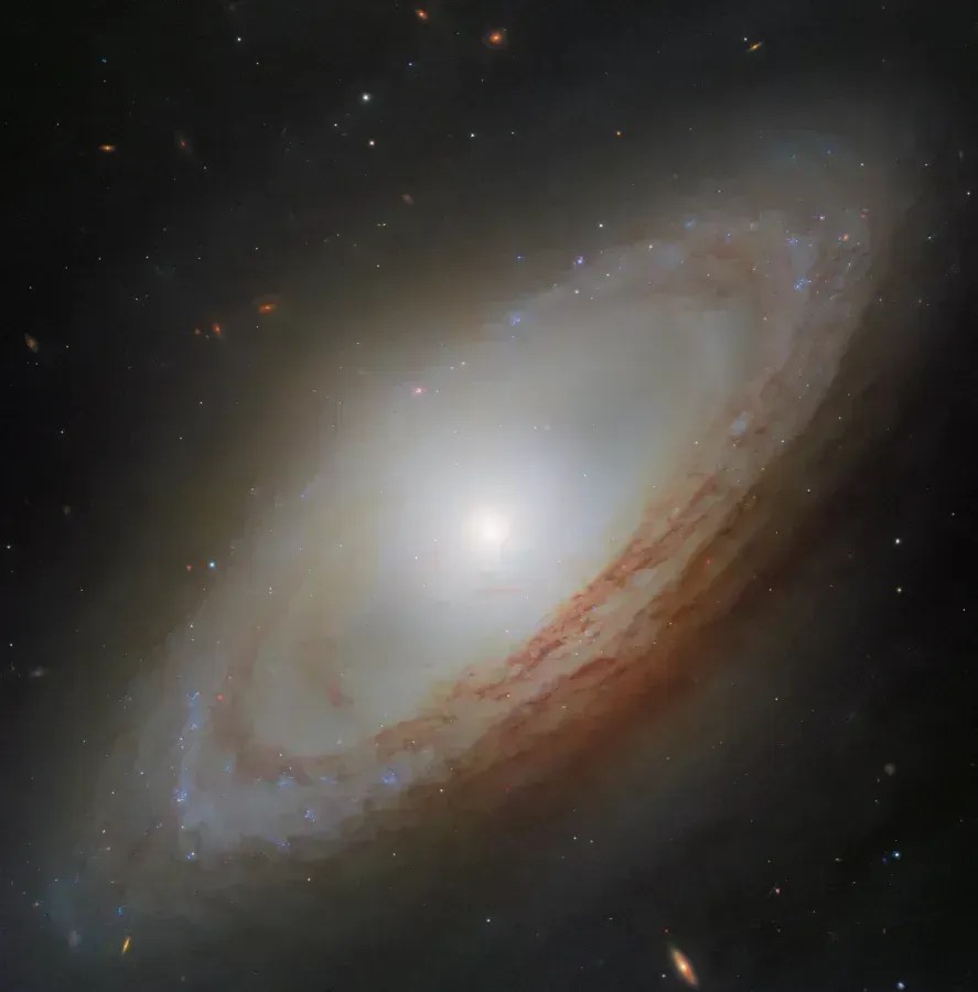 A galáxia espiral NGC 4698 brilha nesta imagem do Telescópio Espacial Hubble da NASA/ESA. ESA/Hubble e NASA, D. Thilker, a equipe MAUVE-HST • Nasa