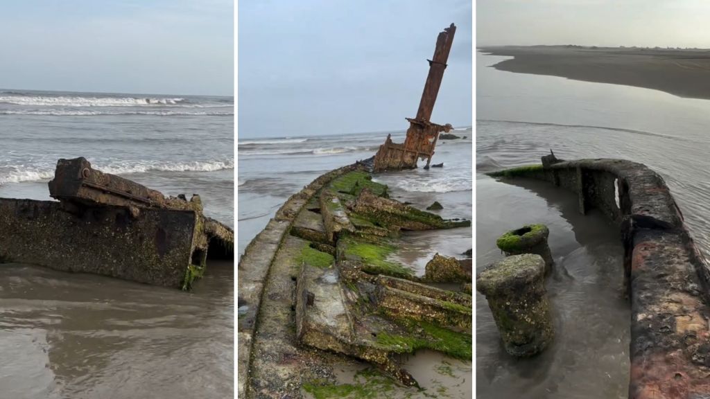 Praia do Cassino: o mito do Guinness Book e os segredos da maior faixa de areia do planeta • Reprodução • @praiadocassino_rs