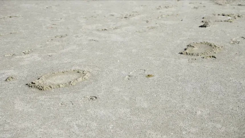 É possível encontrar pegadas de mamute por toda White Sands. • Cortesia do Serviço Nacional de Parques